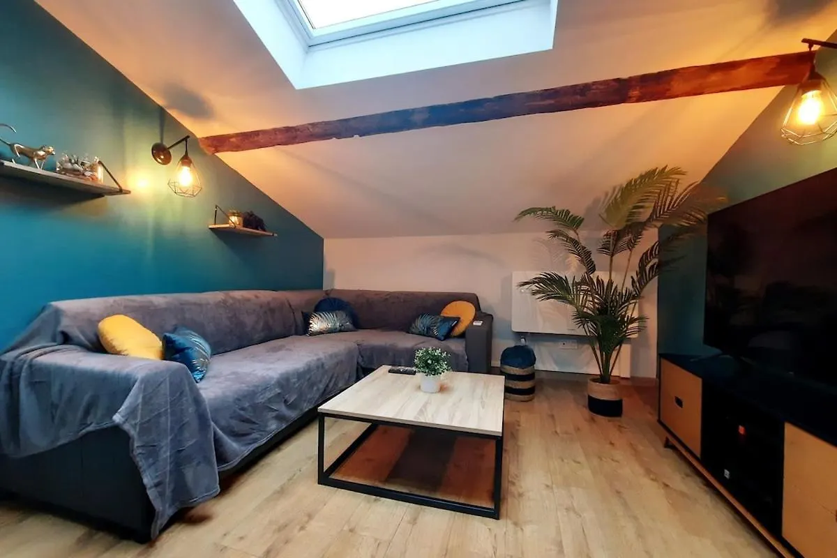 Grand Appartement Lyon 9 Proche Metro
