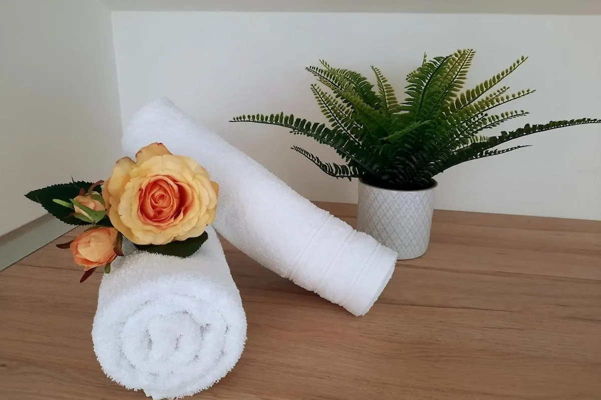 Grand Appartement Lyon 9 Proche Metro Apartment