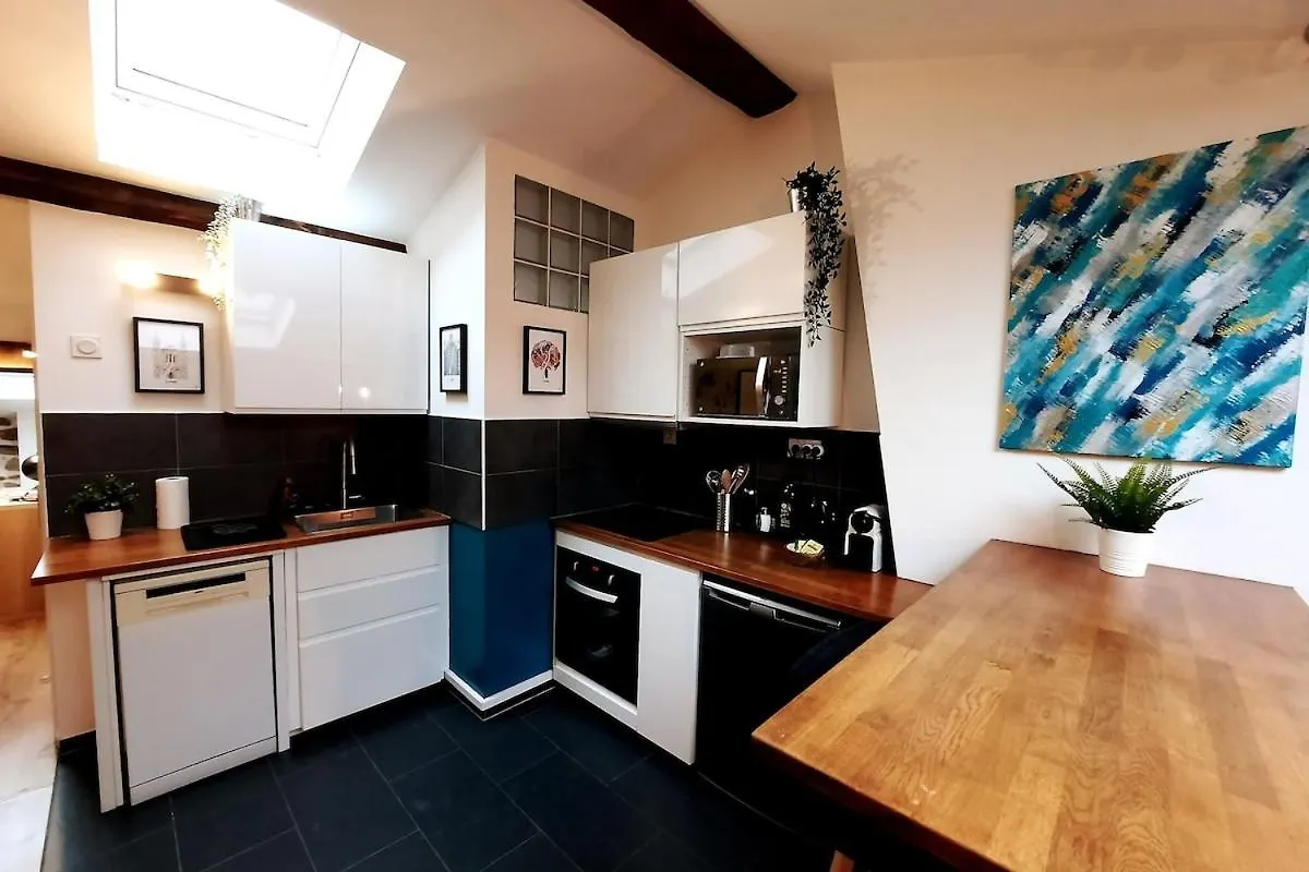 Grand Appartement Proche Metro Avec Climatisation 리옹